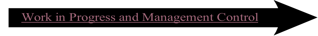 Work in Progress and Management Control
